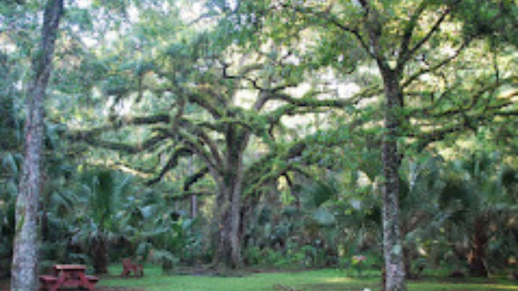 Trout Lake Nature Center